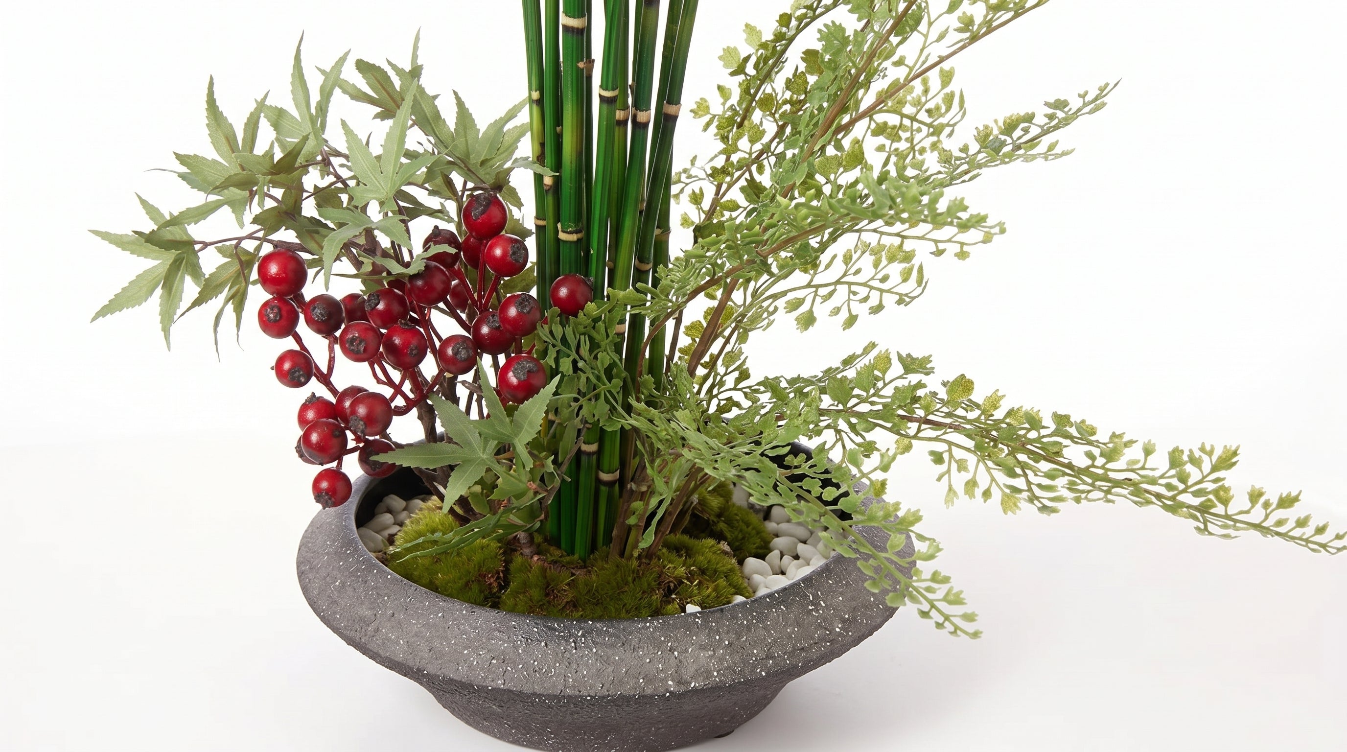 Momiji Ensemble Plateau Petite Bonsai with Berries - Medium