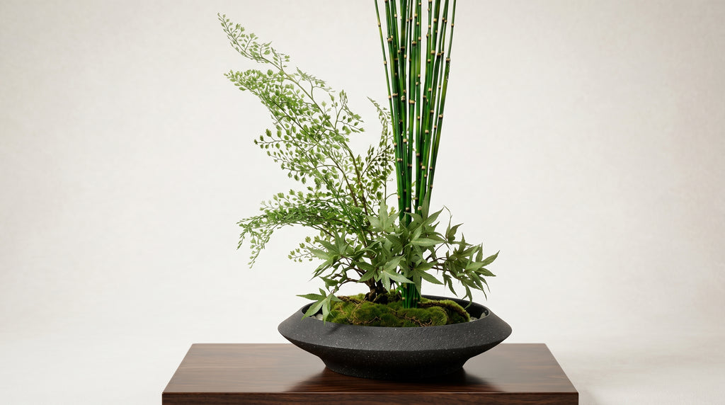 Momiji Ensemble Plateau Grand Bonsai - Medium
