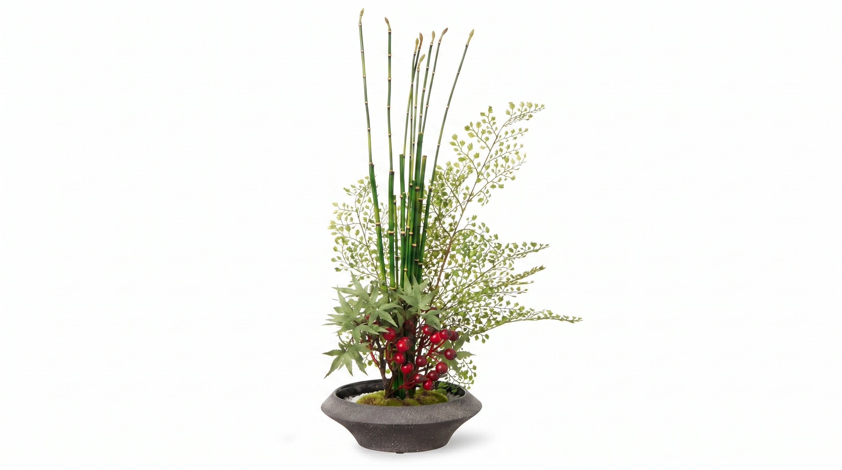 Momiji Ensemble Plateau Petite Bonsai with Berries - Medium