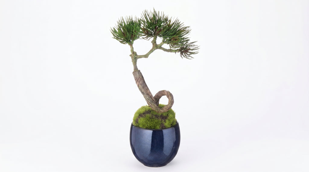 Pine Stream Indigo Guinomi Bonsai – Mini