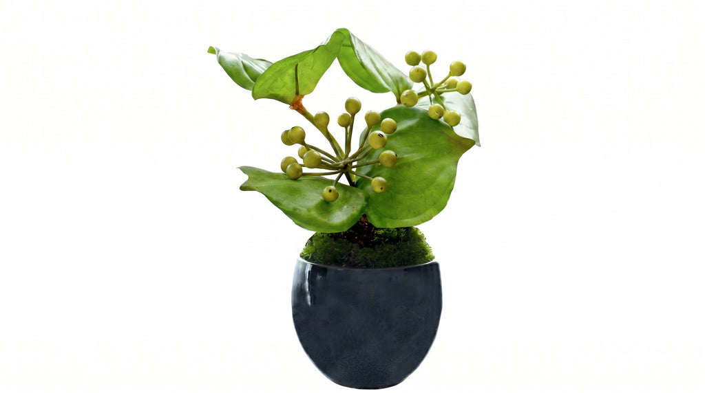 Sankirai Indigo Guinomi Bonsai - Mini