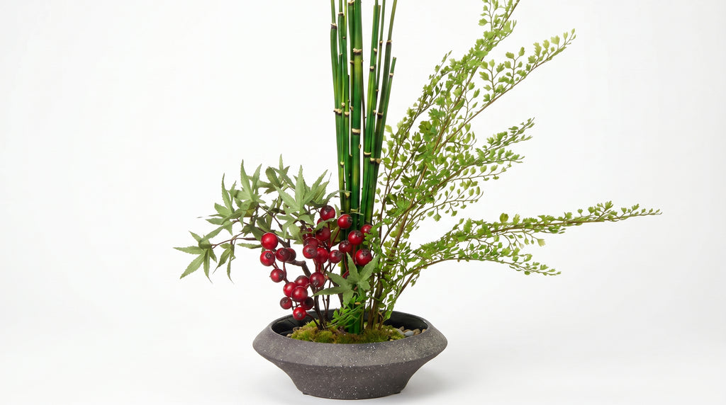 Momiji Ensemble Plateau Petite Bonsai with Berries - Medium