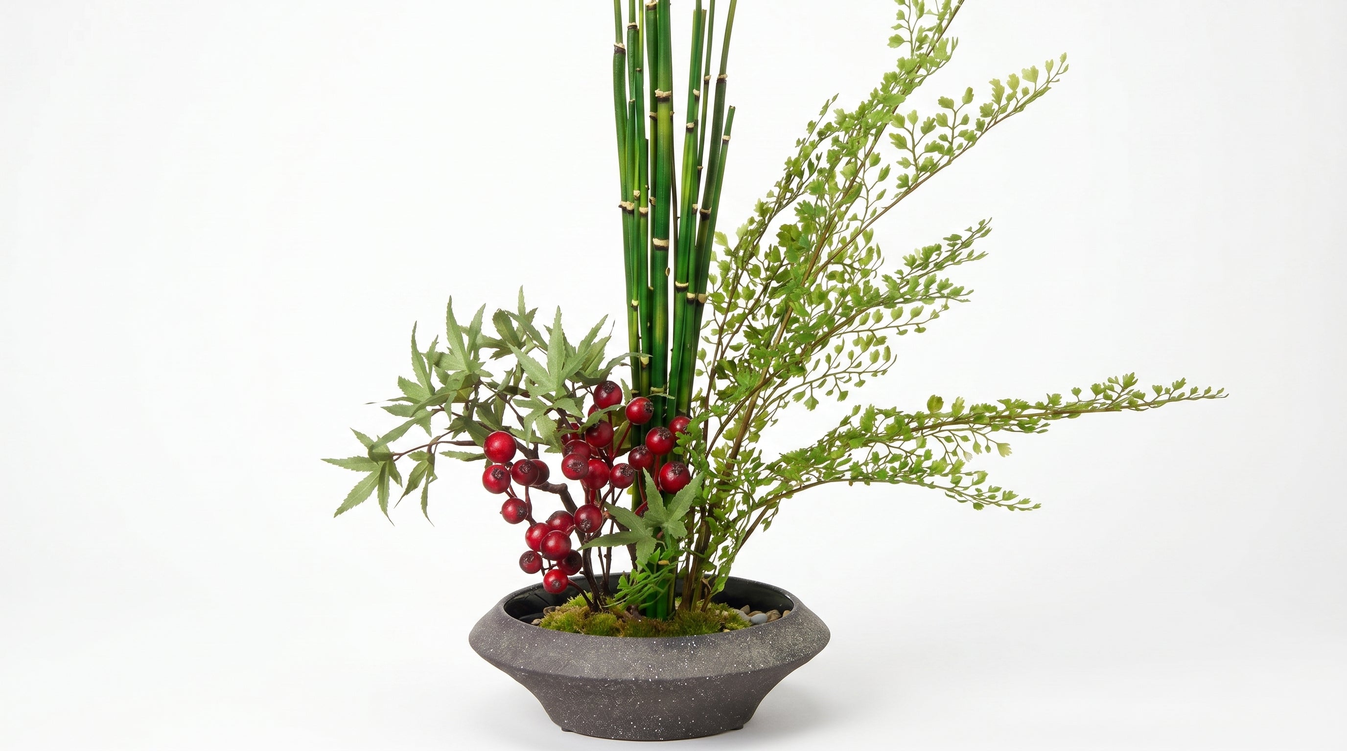 Momiji Ensemble Plateau Petite Bonsai with Berries - Medium