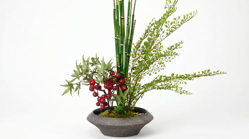 Momiji Ensemble Plateau Petite Bonsai with Berries - Medium