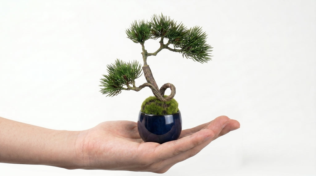 Pine Stream Indigo Guinomi Bonsai – Mini